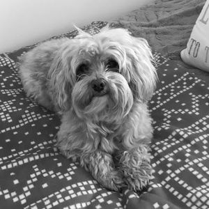 Meet your Posher, Maraid